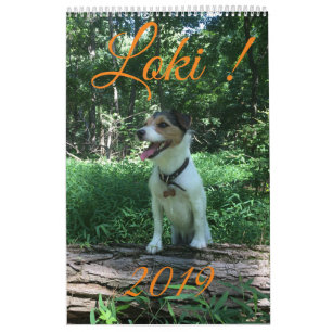 Loki 2019 calendar