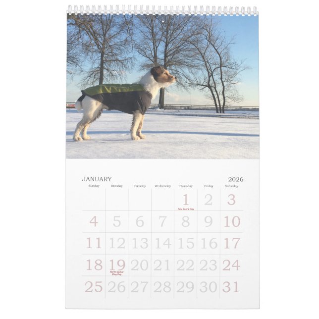 Loki 2020 Calendar (Jan 2026)