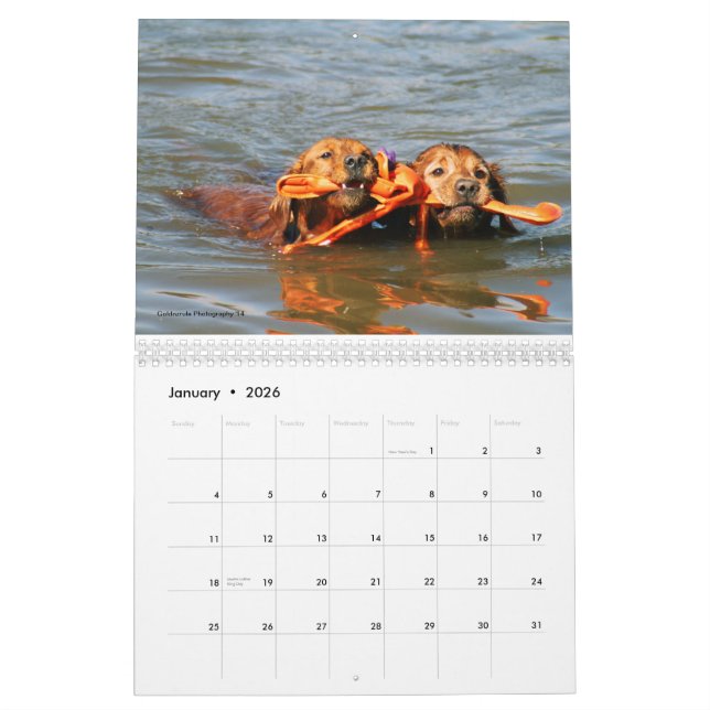 Loki Calendar (Jan 2026)