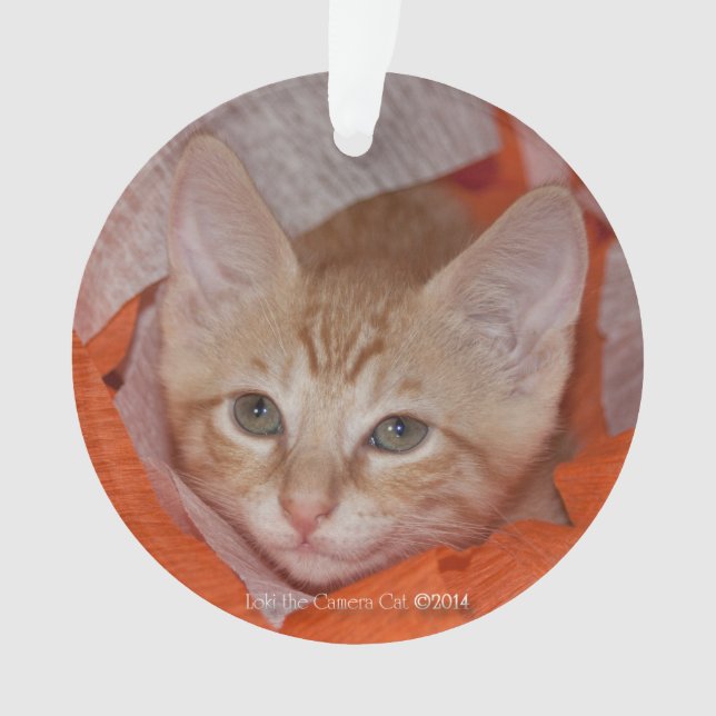 Loki in Orange & White Ornament (Front)