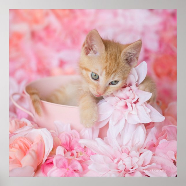 Loki Pink Floral Poster (Front)