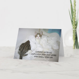 LOL Cat card