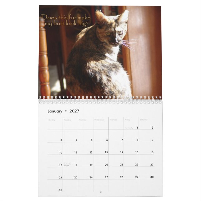 LOL Cats 2008 Calendar (Jan 2027)