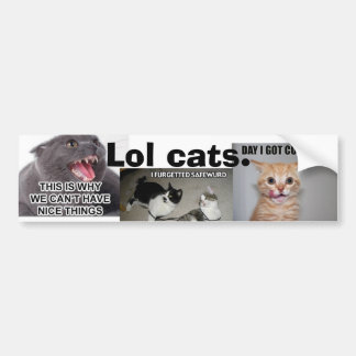 Lol Cats Bumper Sticker