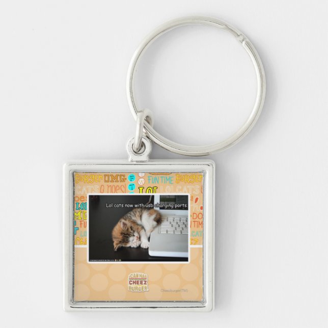 Lol cats with USB Key Ring (Front)