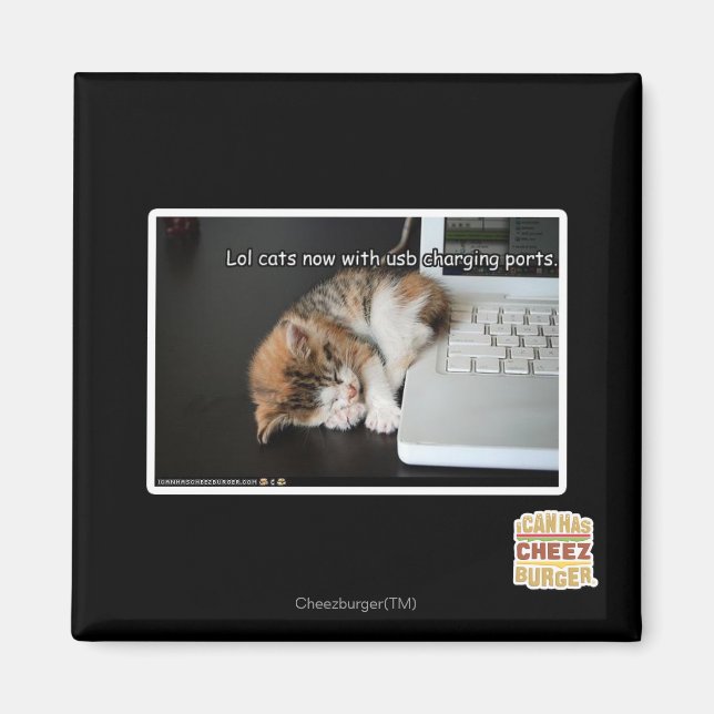 Lol cats with USB Magnet (Front)
