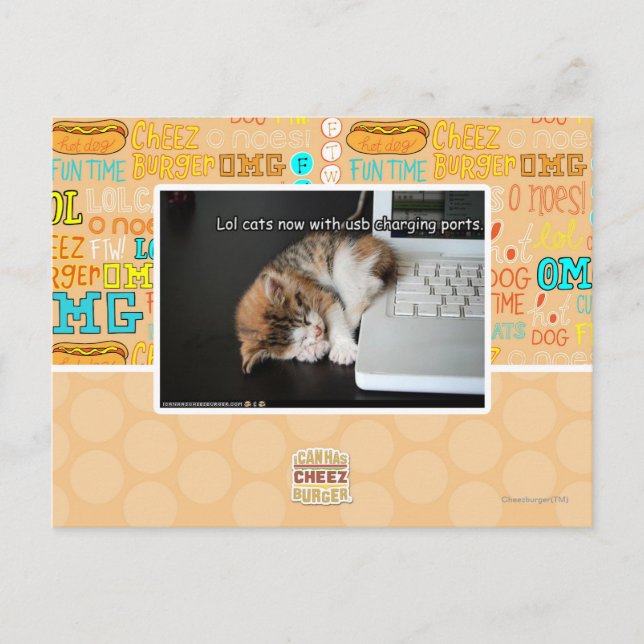 Lol cats with USB Postcard (Front)