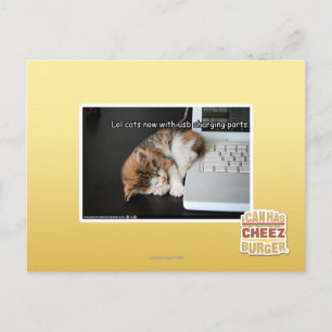 Lol cats with USB Postcard