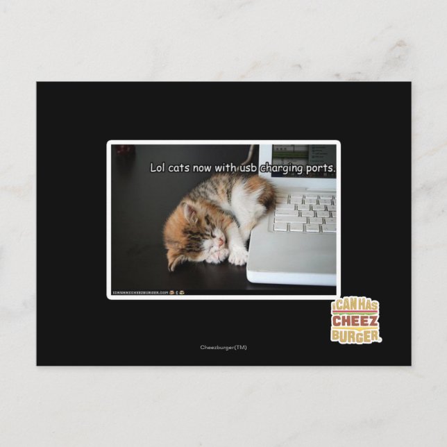 Lol cats with USB Postcard (Front)