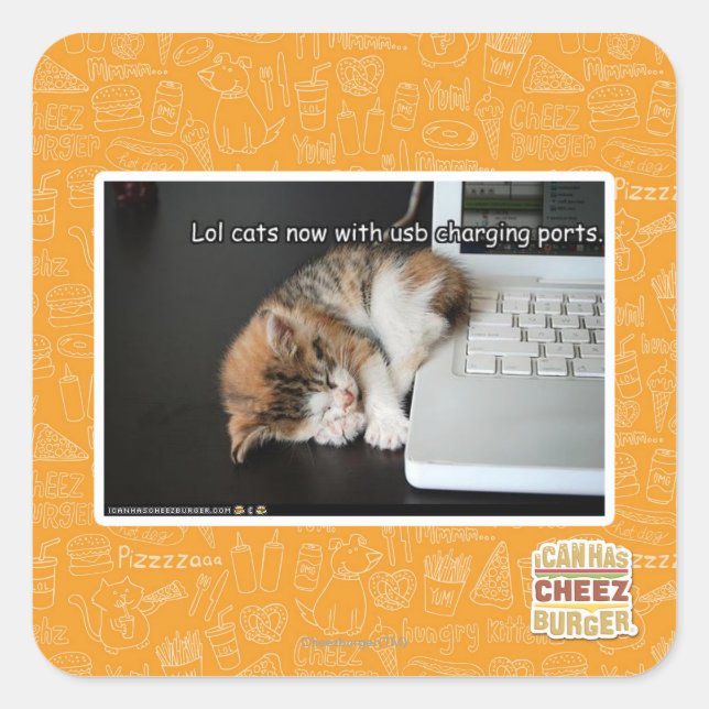 Lol cats with USB Square Sticker (Front)
