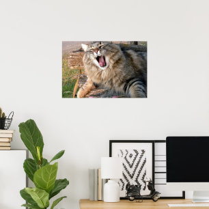 LOL Maine Coon Poster