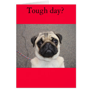 Lola feels your pain