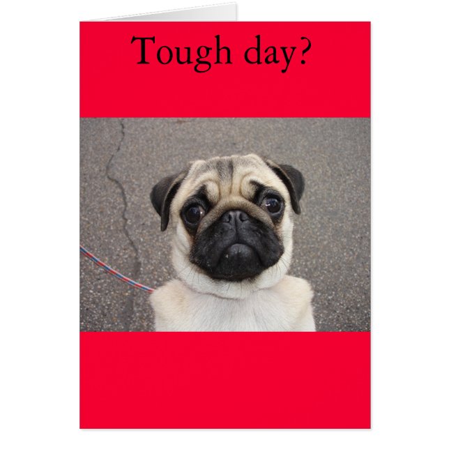 Lola feels your pain (Front)