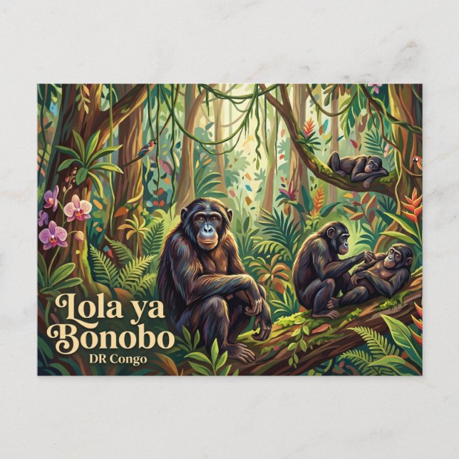 Lola ya Bonobo Sanctuary Postcard (Front)