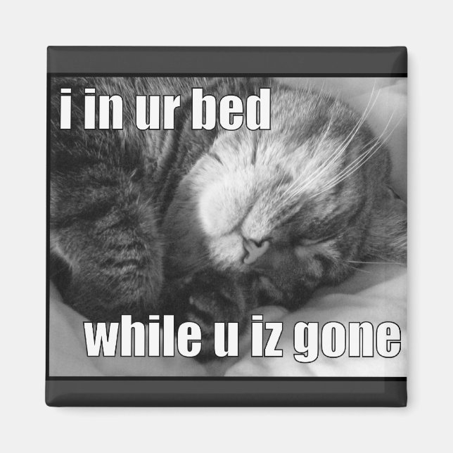 LOLCat 1 Magnet (Front)