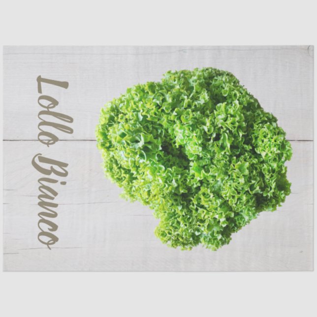 Lollo Bianco Salad lettuce leaves for Vegans Tissue Paper (Front)