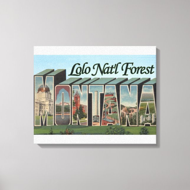 Lolo Nat'l Forest, Montana Canvas Print (Front)