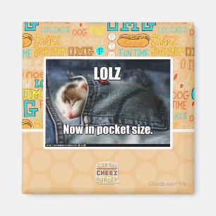 LOLZ Now in Pocket Size Magnet
