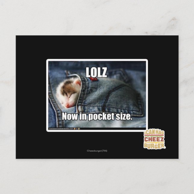 LOLZ Now in Pocket Size Postcard (Front)