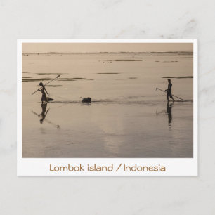 Lombok island / Indonesia monochrome images Postcard