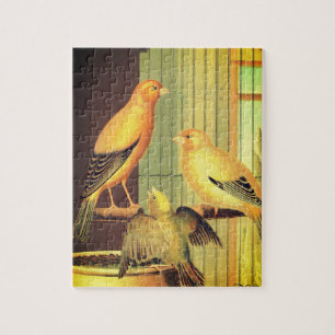 London Fancy Canaries -vintage illustration Jigsaw Puzzle