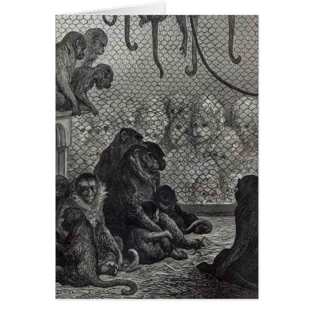 London' Monkeys (Front)