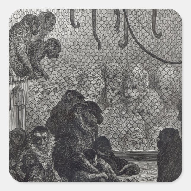 London' Monkeys Square Sticker (Front)