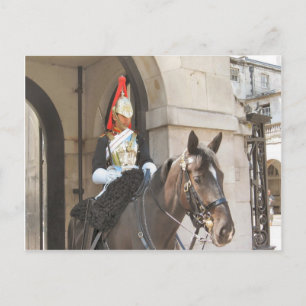 London,  Mounted sentry in Whitehall Postcard