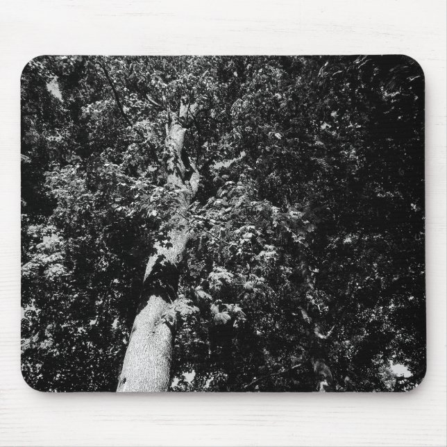 London Plane Tree B&W Mouse Pad (Front)