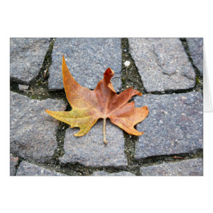 London Plane Tree Leaf