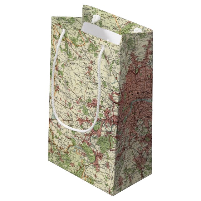London Region Map Small Gift Bag (Back Angled)