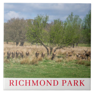 London Richmond Park deer ceramic tile