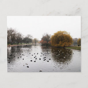 LONDON's parks Postcard