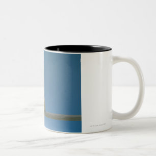 Lone Baby Pet Chicken Sitting on a Perch Two-Tone Coffee Mug