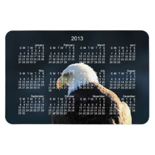 Lone Bald Eagle; 2013 Calendar Magnet