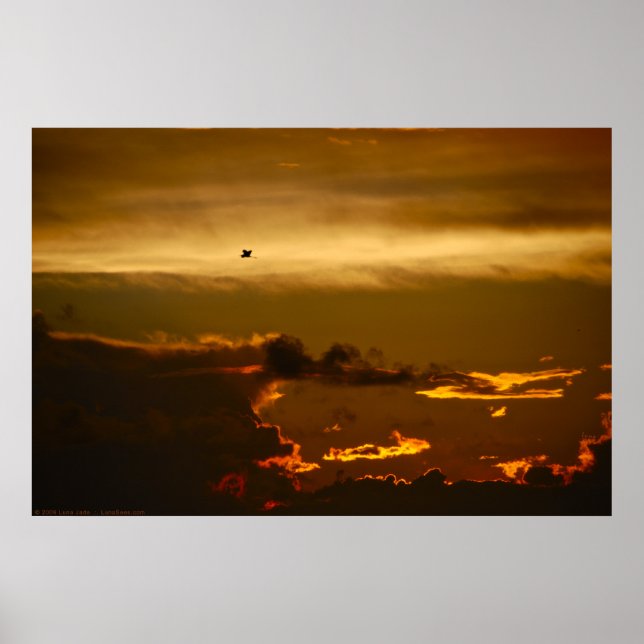 Lone Bird in a Firey Sky (Poster) Poster (Front)