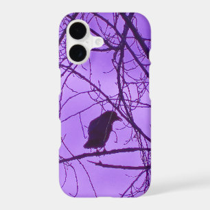 Lone Black Crow Silhouette in Black Trees Purple