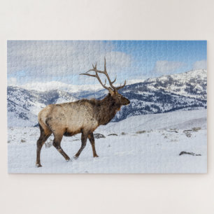 Lone Bull Elk   Yellowstone National Park Jigsaw Puzzle