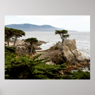 LONE CYPRESS Print, Value Poster Paper (Matte)