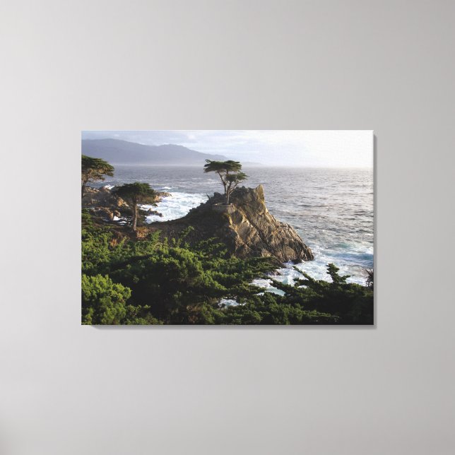 Lone Cypress - stretched canvas print (Front)