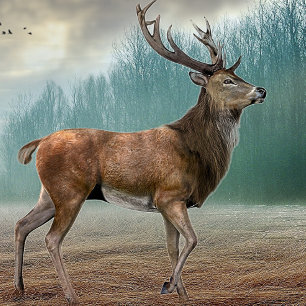 Lone Deer In Misty Forest   Notebook