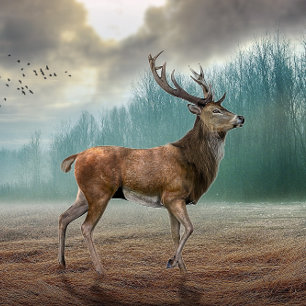Lone Deer In Misty Forest      Tile