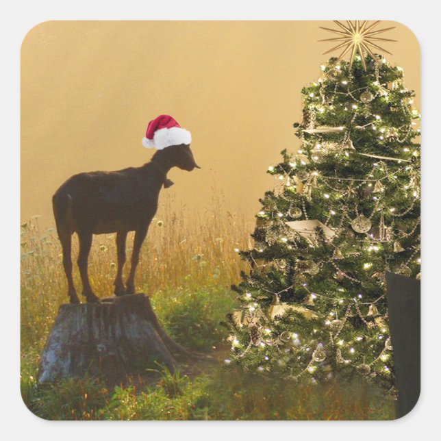 Lone Goat Marvels At Christmas Tree Square Sticker (Front)