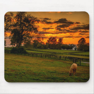 Lone horse at sunset mouse pad