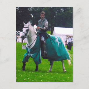 lone knight postcard