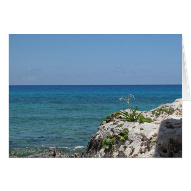 Lone Lily by the Sea (Front Horizontal)