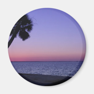 Lone      Palm In Purple Magnet