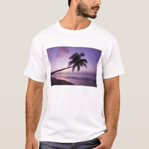 Lone palm tree at sunset, Coconut Grove beach 2 T-Shirt