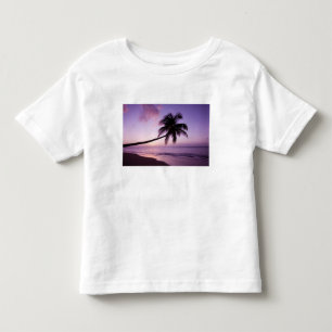 Lone palm tree at sunset, Coconut Grove beach 2 Toddler T-Shirt