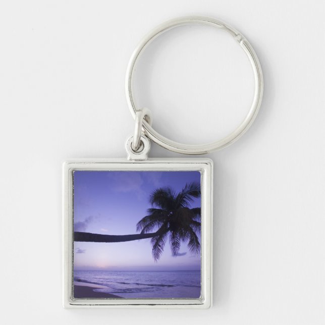 Lone palm tree at sunset, Coconut Grove beach 3 Key Ring (Front)